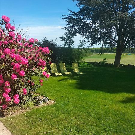 Gite Belle Fleur 6 Personnes- Vosges Saint-Nabord Eksteriør billede